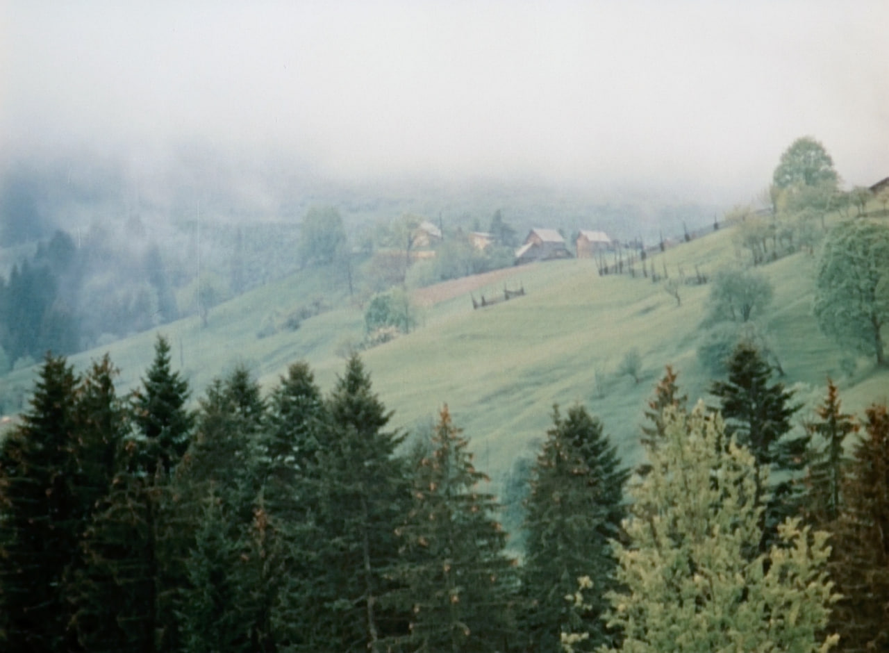 Бачу тебе, Буковино (1993)